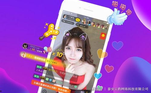 爆料风格直播视频大全下载,一键下载收藏！  第2张