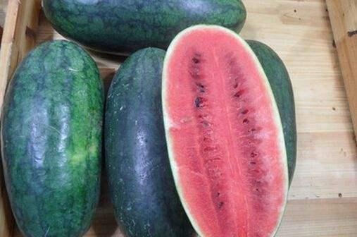 山东网红吃烧瓜视频,火辣滋味引发网友热议  第3张