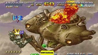 东营八卦爆料最新,揭秘最新热点事件背后的真相与内幕  第3张